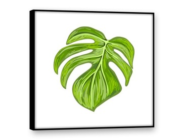 Obrazy na płótnie 40x40 Obraz Nowoczesny LIŚCIE