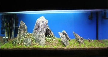 20 КГ ДЕРЕВЯННОГО КАМНЯ ЛУПЕ ДЛЯ АКВАРИУМА ИВАГУМИ