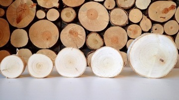 Деревянные ломтики, полированные деревянные диски 17-20 см.