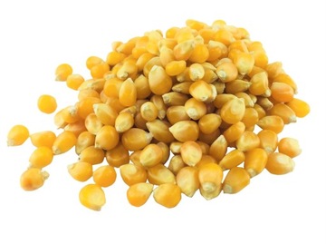 POPCORN ZIARNO KUKURYDZY 500g NATURALNE