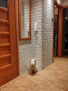 Гибкая фасадная плитка с имитацией кирпича