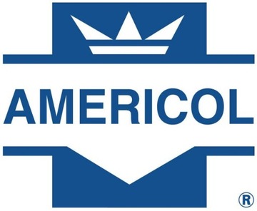 ПАСТА ДЛЯ РУЧНОЙ СТИРКИ AMERICOL YELLOW 4,5л.