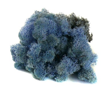 Mech CHROBOTEK RENIFEROWY 50g Lavender Blue