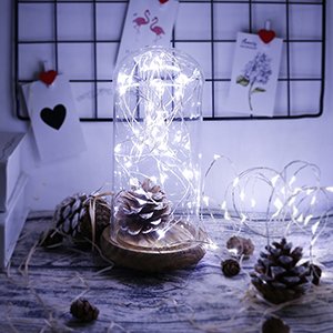 20LED микропроводные лампы COLD WHITE___Z2