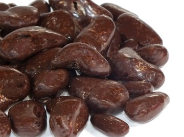 Śliwki kandyzowane w czekoladzie 100g od Skworcu