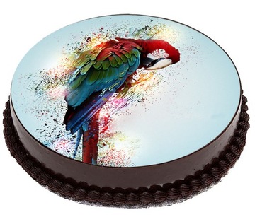 OPŁATEK NA TORT Ptaki Sowa Papuga Łabędzie 20cm