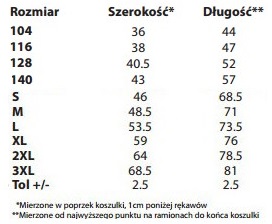 Патриотическая национальная футболка Польша для поляков М