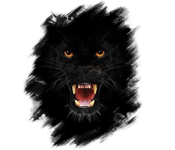 NAKLEJKA GRAFIKA CZARNA PANTERA PUMA MAŁA UV