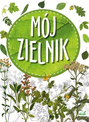 Mój zielnik Drzewa krzewy liście