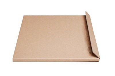 KARTONY PUDEŁKA KARTON NA WINYLE 320x315x12 50SZT