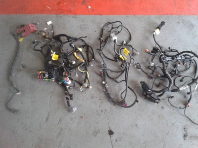 Chevrolet aveo ii t300 2012r 1.3 джгут електропроводка фото №1