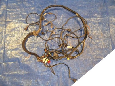 AUDI A6 4F0 3.0 TDI WIRE ASSEMBLY ELECTRICAL 4F1971075DQ - milautoparts-fr.ukrlive.com