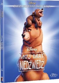 Mój brat niedźwiedź DVD FOLIA