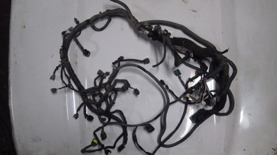 WIRE ASSEMBLY ENGINE 5.6 NISSAN TITAN ARMADA QX56 - milautoparts-fr.ukrlive.com