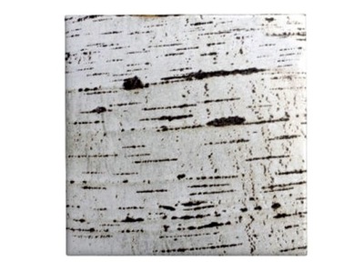 KORA BRZOZY arkusz 30 x 30 cm