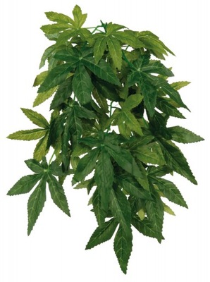 Roślina wisząca Exo-Terra Abutilon S Zaślaz 45 cm