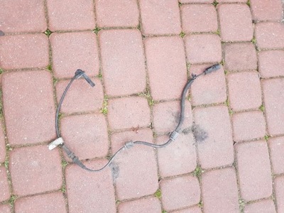 Датчик abs opel insignia 12848538 фото №1