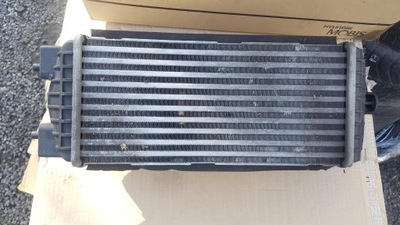 RADIATOR INTERCOOLER HYUNDAI TUCSON II - milautoparts-fr.ukrlive.com