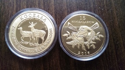 Jeleń wschodni -15 koczalaków - Zwierzyna Łowna