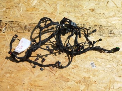 Жгут двигателя chrysler sebring 3,5 2010r фото №1