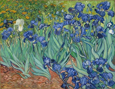 van Gogh - Irises, Irysy, 90x70, OBRAZ NA PŁÓTNIE