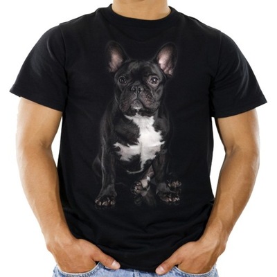 Koszulka z psem buldogiem francuskim t-shirt XL HQ