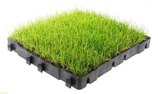 Решетка для парковки Eco Grass 4 см G40