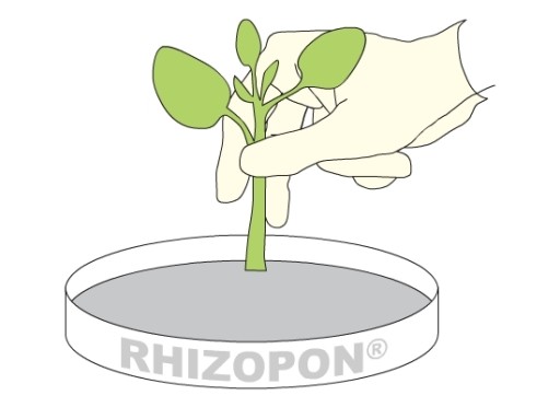 RHIZOPON AA средство для корнеобразования 1% 500г STRONG FV порошок