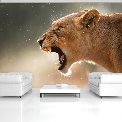 ФОТОобои LIONOSE LION ROAR 12C FXL 208x146 F3615