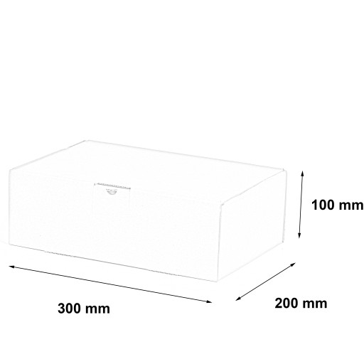 КАРТОННАЯ КОРОБКА 300x200x100 мм, ПОД ЗАКАЗ, 20 шт.