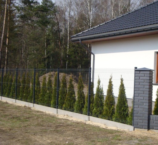 ГРАФИТОВАЯ ПАНЕЛЬ ДЛЯ ЗАБОРА 4мм 50х200 h=1,2м ПАНЕЛИ