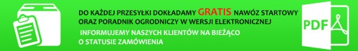 Колонновая яблоня ЗЛОТА РЕНЕТА ---- № 259а.