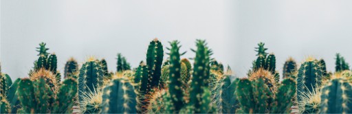 реалистичное БАЛКОННОЕ ПОКРЫТИЕ на заказ, принт CACTI