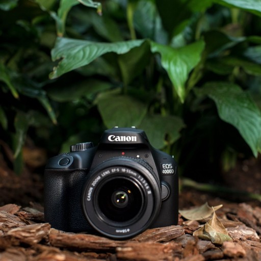 CANON EOS 4000D + 18-55 DC III+ 75-300 III, 2 аккумулятора