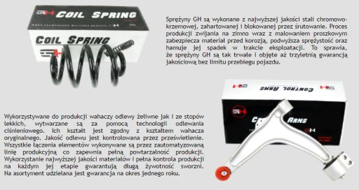 POD SPRĘŻYNY VW TRANSPORTER T5 BLASZAK tył *Śląsk