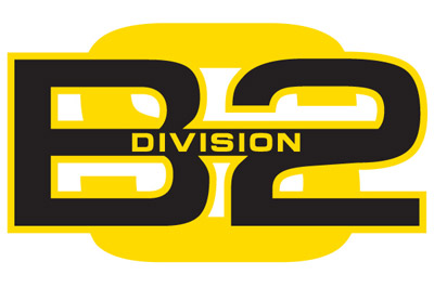 БОКСЕРСКИЕ ПЕРЧАТКИ DIVISION-B2 DIV-TG01, 12 унций.