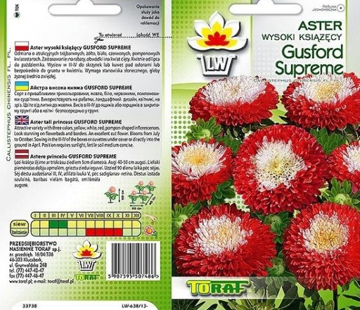 Aster High Pompone Gusord Supreme 1 Gree of Seeds