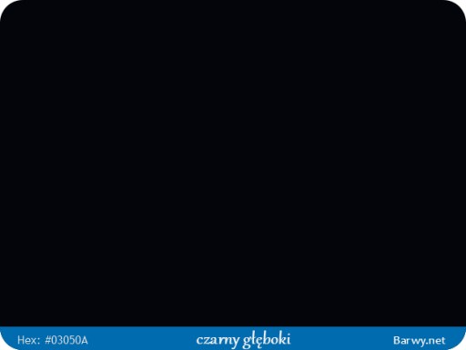 ЛАК-РАСПЫЛЕНИЕ ЧЕРНЫЙ RAL 9005 полуматовый AMBROSOL 1233