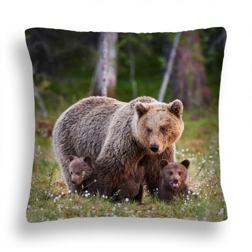 PODUSZKA NIEDŹWIEDŹIA RODZINKA 50 X 50 PRODUKT PL.
