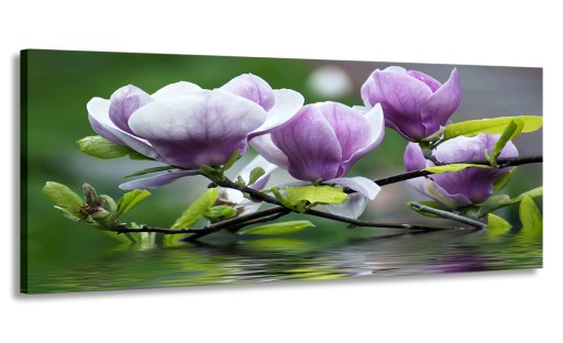 OBRAZ PANORAMA KWIATY MAGNOLIE 170x70 DO SALONU