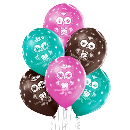 Balony Owls zwierzątka sowa sówka księżyc 6szt