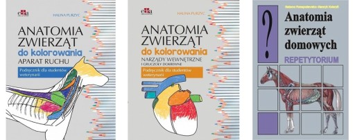 Anatomia zwierząt do kolorowania + Repetytorium