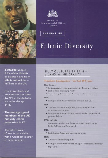 ETHNIC DIVERSITY Insight UK12