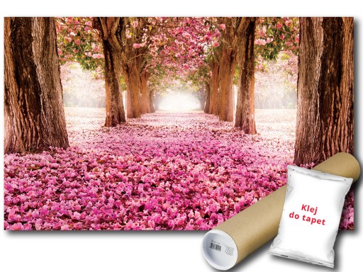 FOTOTAPETA ALEJA PARK KWIATY 8A F2XL 312x219 F851