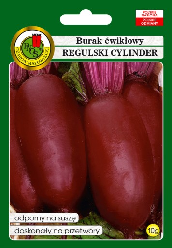 BURAK REGULSKI CYLINDER ODPORNY