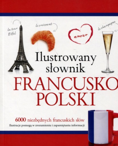 Ilustrowany słownik francusko-polski Tadeusz Woźniak