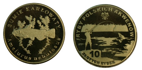 Sumik Karłowaty - 10 złotych rybek - Ryby Polskich Akwenów