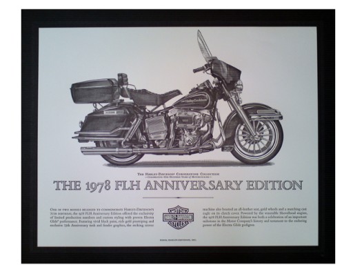 HARLEY DAVIDSON ГРАФІКА HARLEY DAVIDSON FLH 100% HD