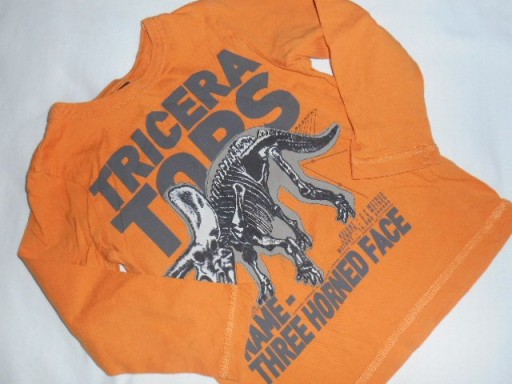 Zdjęcie oferty: H&M TRICERATOPS EXTRA BLUZKA 86/92