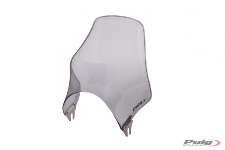 PUIG VITRE TEINTÉ TRIUMPH THUNDERBIRD